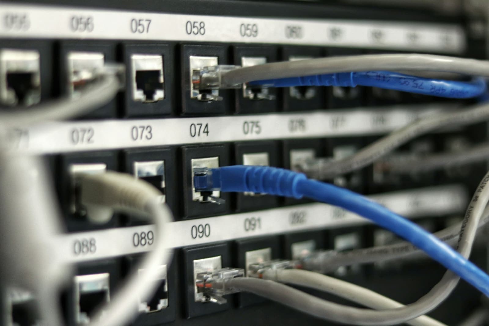 Blue and grey network cables plugged into a numbered patch panel